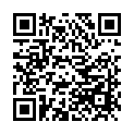 蓝盾平安城市凯发k8国际首页登录的解决方案，为城市治安披上“防护网”